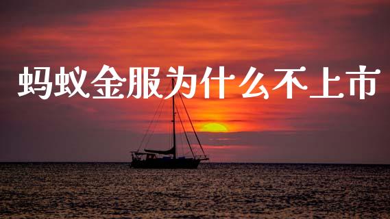 蚂蚁金服为什么不上市_https://wap.lxcailiao.com_金融监管_第1张