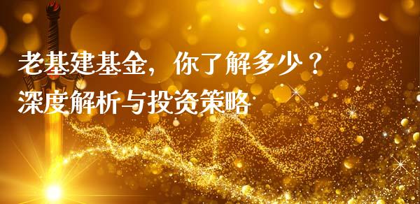 老基建基金，你了解多少？深度解析与投资策略_https://wap.lxcailiao.com_财务管理_第1张