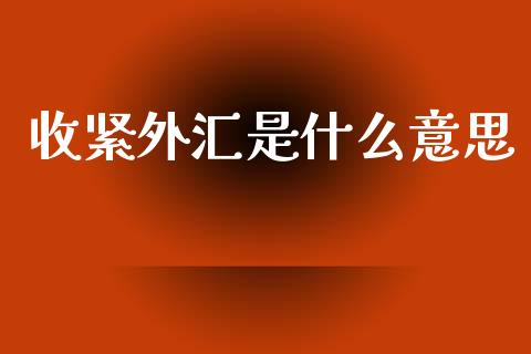 收紧外汇是什么意思_https://wap.lxcailiao.com_财务管理_第1张