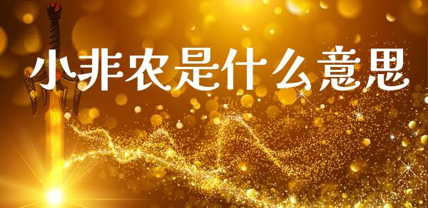 小非农是什么意思_https://wap.lxcailiao.com_融资担保_第1张