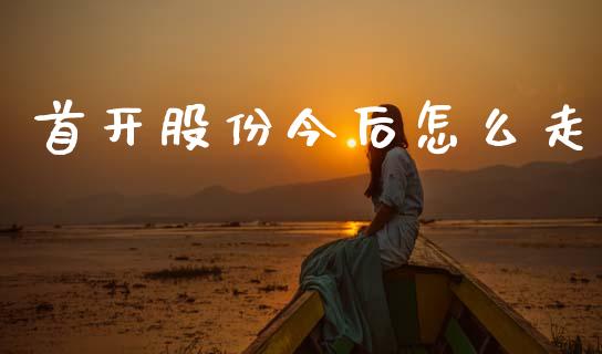 首开股份今后怎么走_https://wap.lxcailiao.com_金融监管_第1张