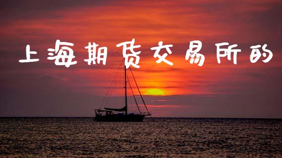 上海期货交易所的_https://wap.lxcailiao.com_金融监管_第1张