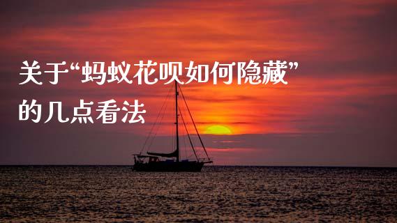 关于“蚂蚁花呗如何隐藏”的几点看法_https://wap.lxcailiao.com_财务管理_第1张