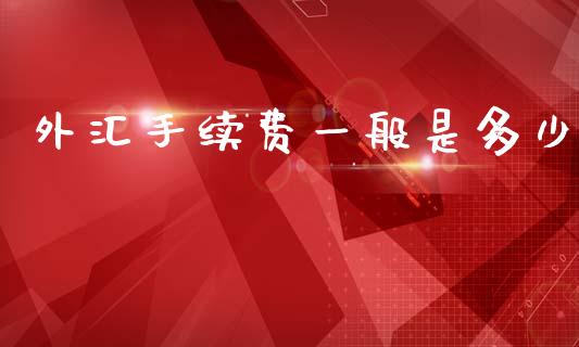 外汇手续费一般是多少_https://wap.lxcailiao.com_金融监管_第1张