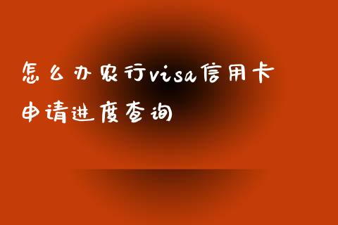 怎么办农行visa信用卡申请进度查询_https://wap.lxcailiao.com_金融监管_第1张