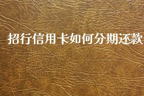 招行信用卡如何分期还款_https://wap.lxcailiao.com_金融监管_第1张