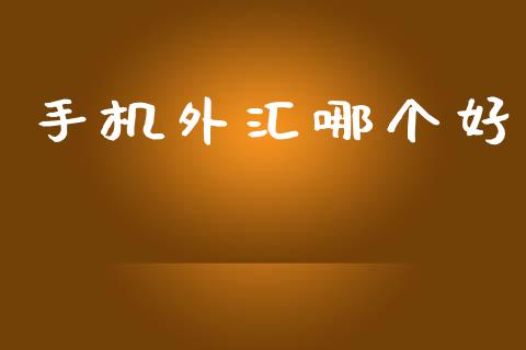 手机外汇哪个好_https://wap.lxcailiao.com_财务管理_第1张
