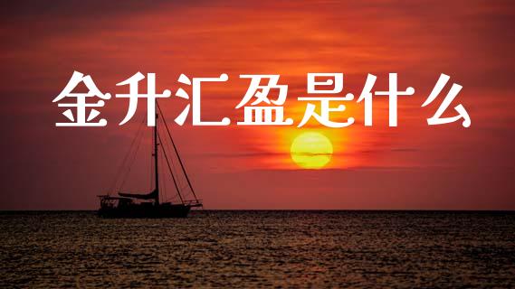 金升汇盈是什么_https://wap.lxcailiao.com_融资担保_第1张