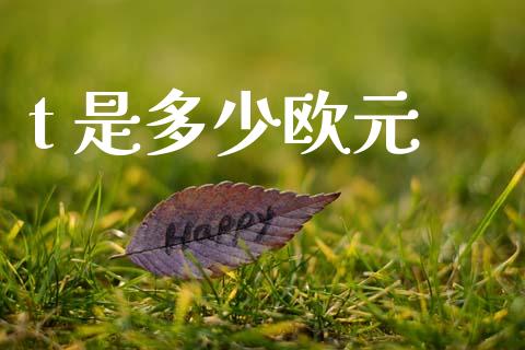 t 是多少欧元_https://wap.lxcailiao.com_股权投资_第1张