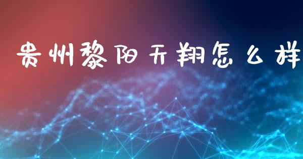 贵州黎阳天翔怎么样_https://wap.lxcailiao.com_金融监管_第1张