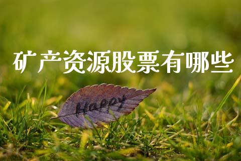 矿产资源股票有哪些_https://wap.lxcailiao.com_股权投资_第1张