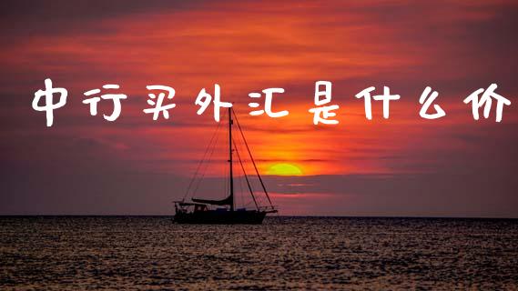 中行买外汇是什么价_https://wap.lxcailiao.com_金融监管_第1张