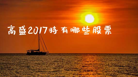高盛2017持有哪些股票_https://wap.lxcailiao.com_财务管理_第1张