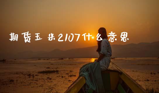 期货玉米2107什么意思_https://wap.lxcailiao.com_金融监管_第1张
