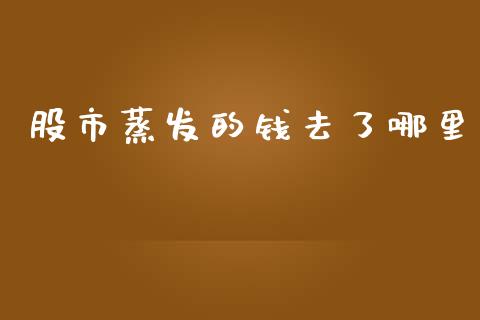 股市蒸发的钱去了哪里_https://wap.lxcailiao.com_融资担保_第1张