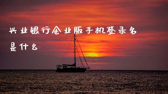 兴业银行企业版手机登录名是什么_https://wap.lxcailiao.com_融资担保_第1张