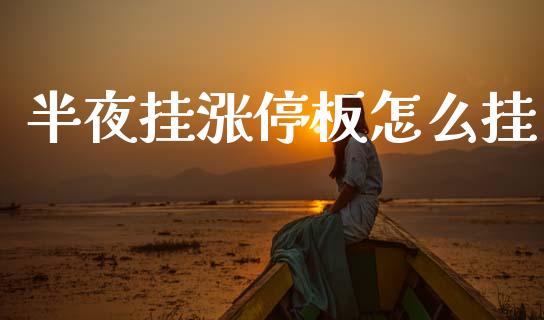 半夜挂涨停板怎么挂_https://wap.lxcailiao.com_融资担保_第1张