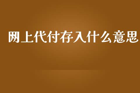 网上代付存入什么意思_https://wap.lxcailiao.com_融资担保_第1张