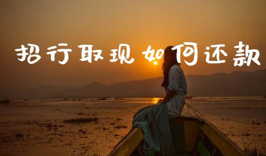 招行取现如何还款_https://wap.lxcailiao.com_金融监管_第1张