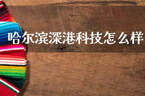 哈尔滨深港科技怎么样_https://wap.lxcailiao.com_金融监管_第1张