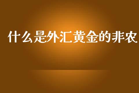 什么是外汇黄金的非农_https://wap.lxcailiao.com_股权投资_第1张
