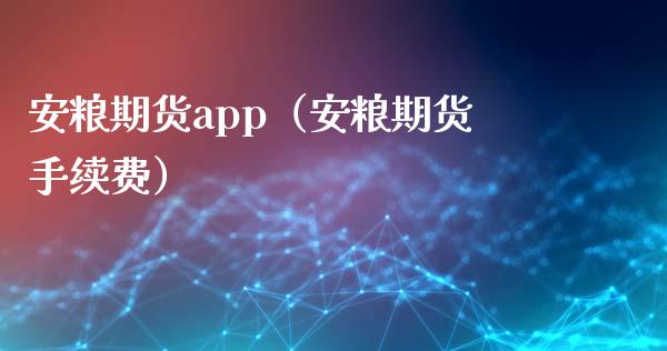 安粮期货app（安粮期货手续费）_https://wap.lxcailiao.com_金融监管_第1张