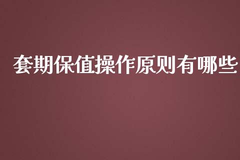 套期保值操作原则有哪些_https://wap.lxcailiao.com_融资担保_第1张