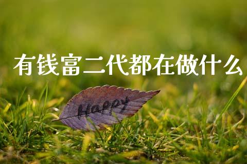 有钱富二代都在做什么_https://wap.lxcailiao.com_股权投资_第1张