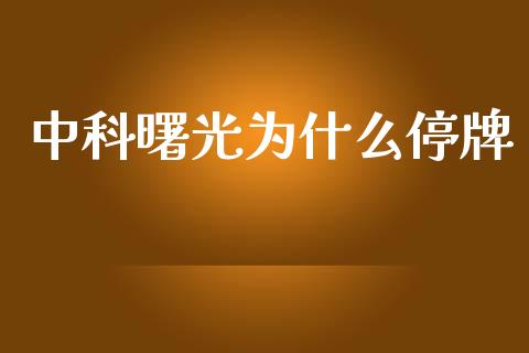 中科曙光为什么停牌_https://wap.lxcailiao.com_财务管理_第1张