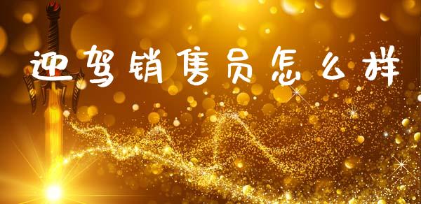 迎驾销售员怎么样_https://wap.lxcailiao.com_财务管理_第1张