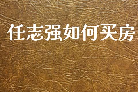 任志强如何买房_https://wap.lxcailiao.com_财务管理_第1张