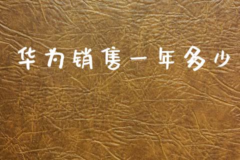华为销售一年多少_https://wap.lxcailiao.com_融资担保_第1张