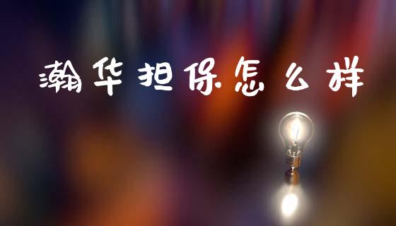 瀚华担保怎么样_https://wap.lxcailiao.com_财务管理_第1张