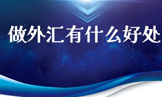 做外汇有什么好处_https://wap.lxcailiao.com_股权投资_第1张