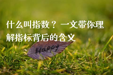 什么叫指数？ 一文带你理解指标背后的含义_https://wap.lxcailiao.com_财务管理_第1张