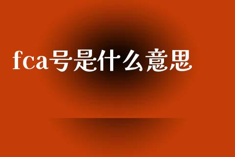 fca号是什么意思_https://wap.lxcailiao.com_财务管理_第1张