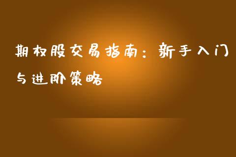 期权股交易指南:新手入门与进阶策略_金融监管_第1张_金融监管_融资担保_财务管理_股权投资 期权股交易指南:新手入门与进阶策略_https://wap.lxcailiao.com_金融监管_第1张