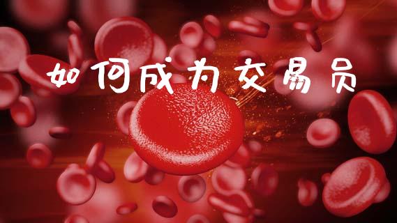 如何成为交易员_https://wap.lxcailiao.com_金融监管_第1张