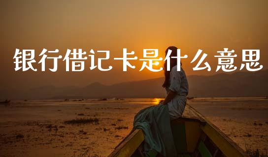 银行借记卡是什么意思_财务管理_第1张_金融监管_融资担保_财务管理_股权投资 银行借记卡是什么意思_https://wap.lxcailiao.com_财务管理_第1张