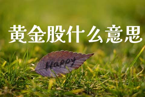 黄金股什么意思_https://wap.lxcailiao.com_财务管理_第1张