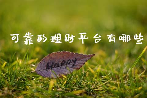 可靠的理财平台有哪些_https://wap.lxcailiao.com_财务管理_第1张
