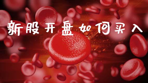 新股开盘如何买入_https://wap.lxcailiao.com_金融监管_第1张