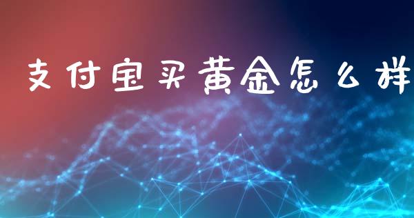 支付宝买黄金怎么样_https://wap.lxcailiao.com_股权投资_第1张