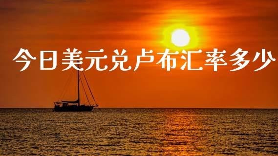 今日美元兑卢布汇率多少_https://wap.lxcailiao.com_金融监管_第1张