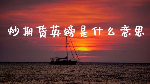 炒期货英镑是什么意思_股权投资_第1张_金融监管_融资担保_财务管理_股权投资 炒期货英镑是什么意思_https://wap.lxcailiao.com_股权投资_第1张