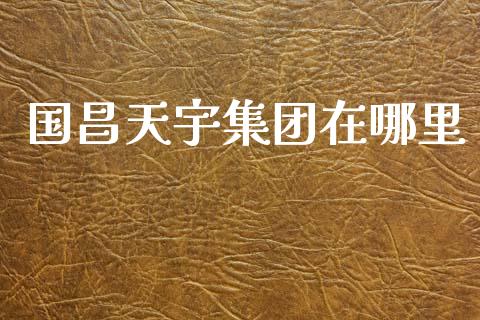 国昌天宇集团在哪里_https://wap.lxcailiao.com_融资担保_第1张