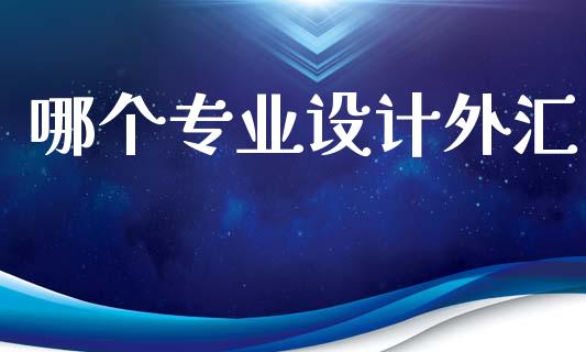 哪个专业设计外汇_https://wap.lxcailiao.com_财务管理_第1张