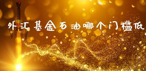 外汇基金石油哪个门槛低_https://wap.lxcailiao.com_金融监管_第1张