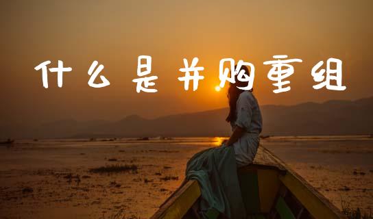 什么是并购重组_https://wap.lxcailiao.com_财务管理_第1张