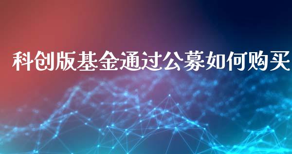 科创版基金通过公募如何购买_https://wap.lxcailiao.com_金融监管_第1张